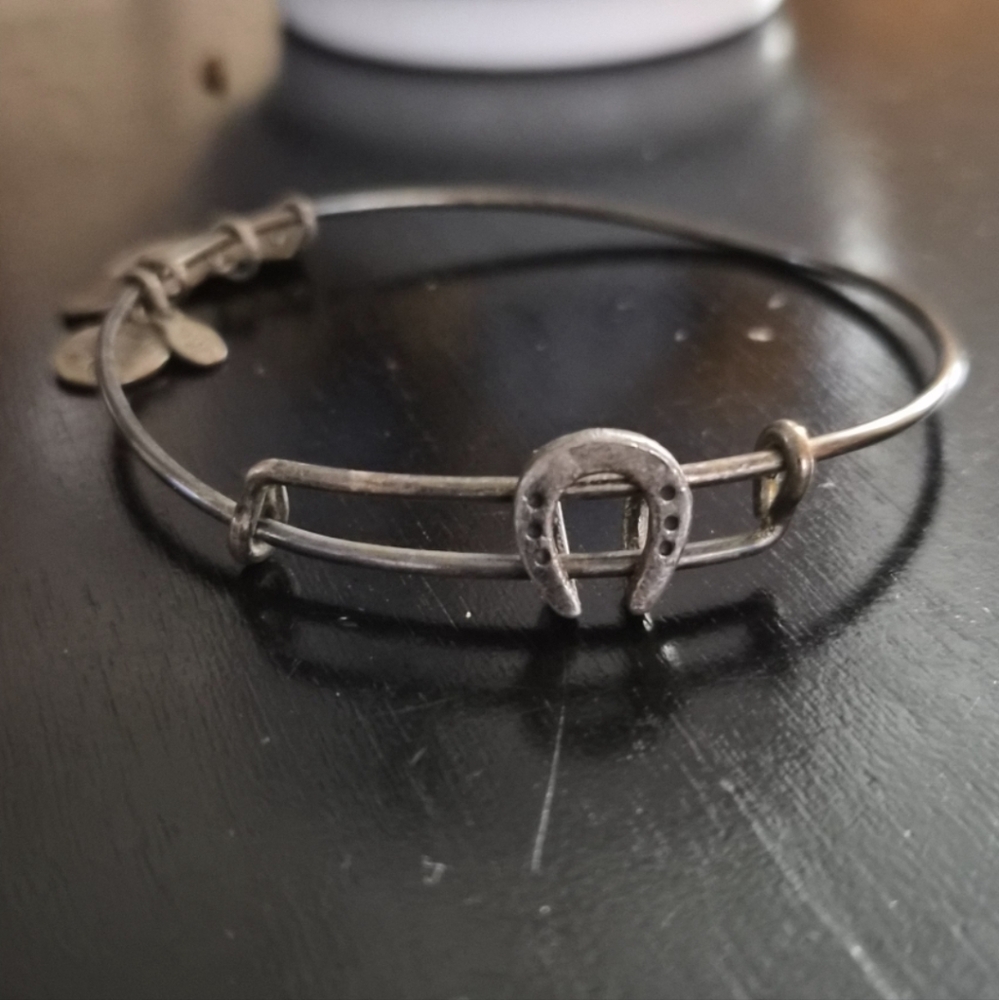 Alex Ams Ani View 3
